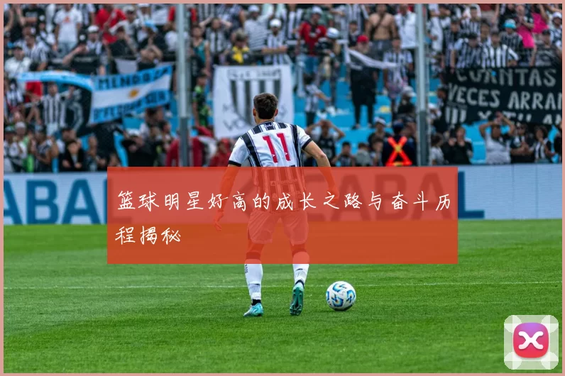 篮球明星好高的成长之路与奋斗历程揭秘