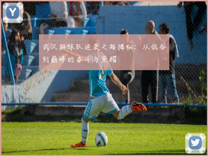 武汉排球队逆袭之路揭秘：从低谷到巅峰的奋斗与荣耀