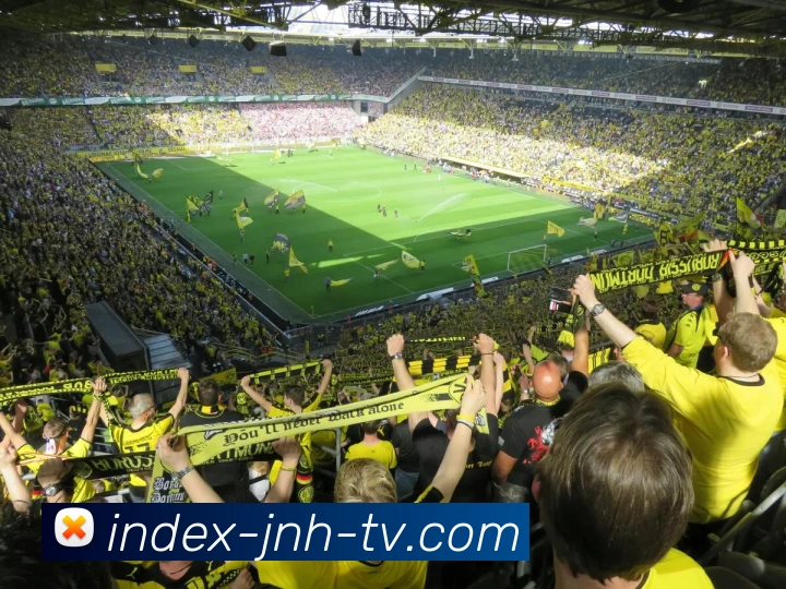 今年会官网APP 封面图